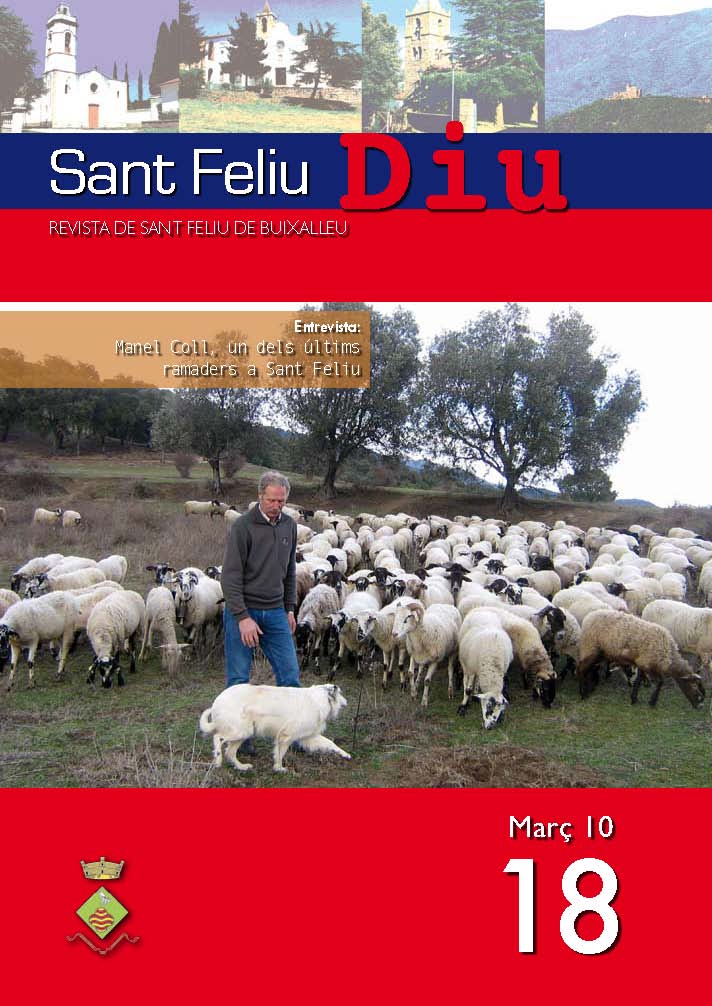 revista